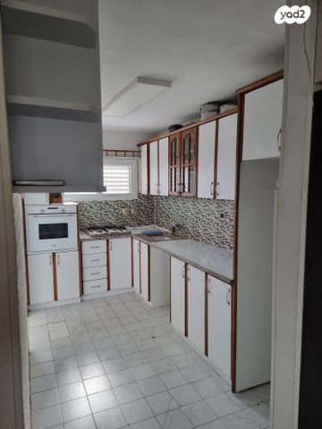 אליאשווילי 2