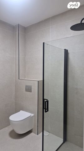 פנחס רוטנברג 4