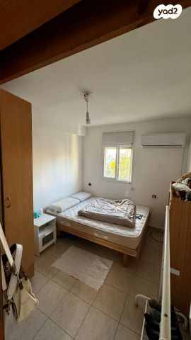 בודנהיימר 12