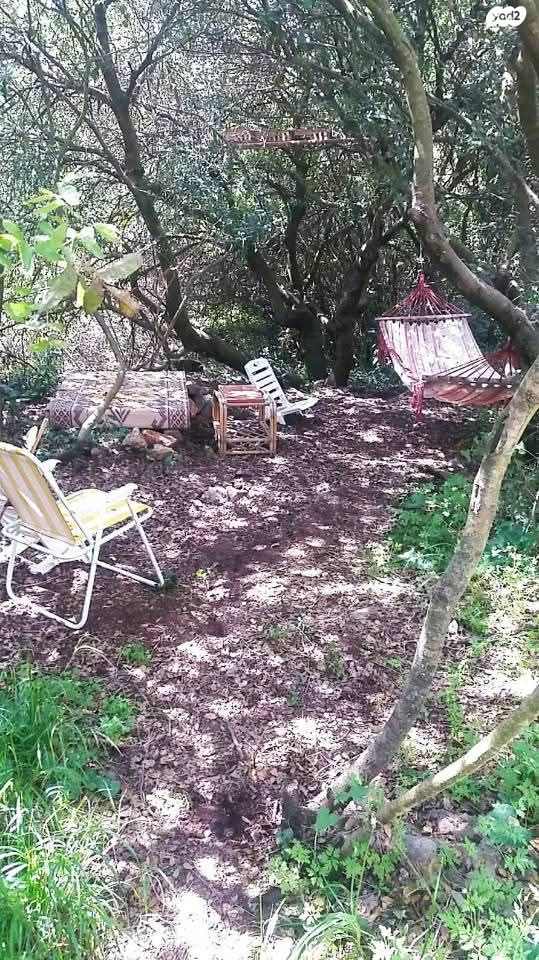 בית פרטי/ קוטג', הזמיר 1, חלוץ, חלוץ