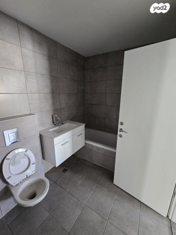 דירה, לשם 55, שאר העיר, אריאל