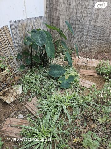 דירת גן, מתניה 14, רמת השקמה, רמת גן