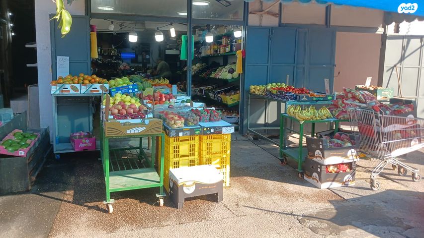 ז'בוטינסקי 48