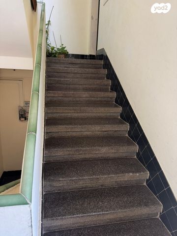 שושנת הכרמל 