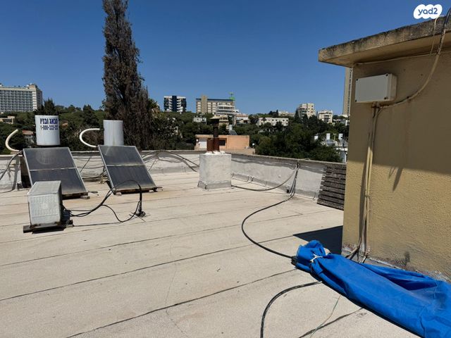 דירה, שושנת הכרמל, חיפה