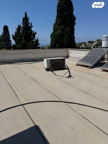 דירה, שושנת הכרמל, חיפה