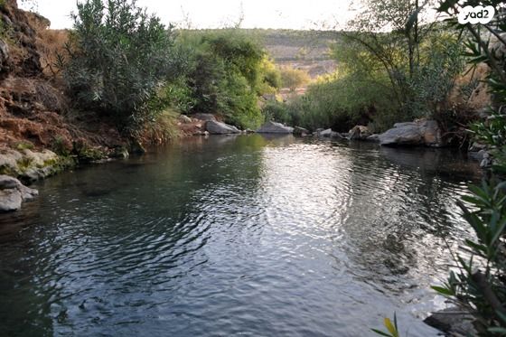 משק חקלאי/ נחלה, לבנים