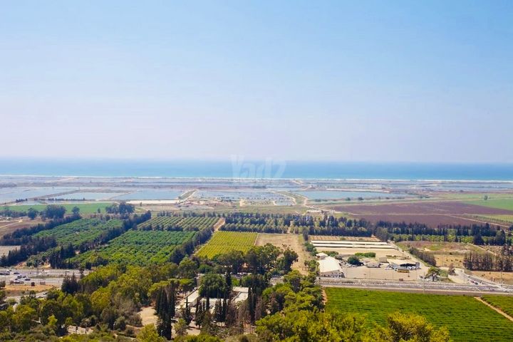 בית פרטי/ קוטג'