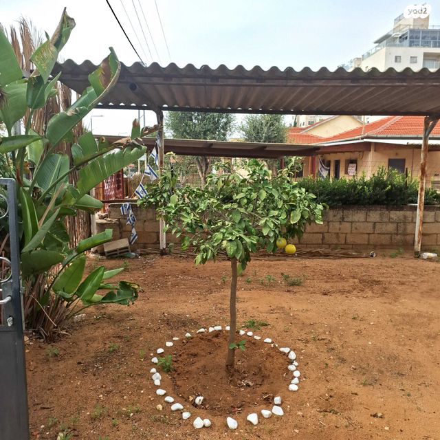 בית פרטי/ קוטג', כצנלסון 29, מרכז מזרחי, נס ציונה