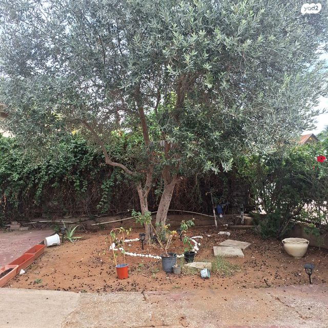 בית פרטי/ קוטג', כצנלסון 29, מרכז מזרחי, נס ציונה