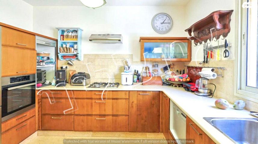 שמואל הנגיד 