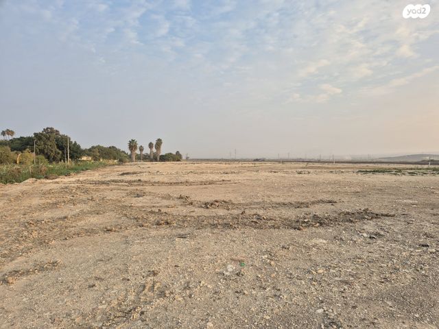 מגרשים, כפר מסריק, כפר מסריק, כפר מסריק