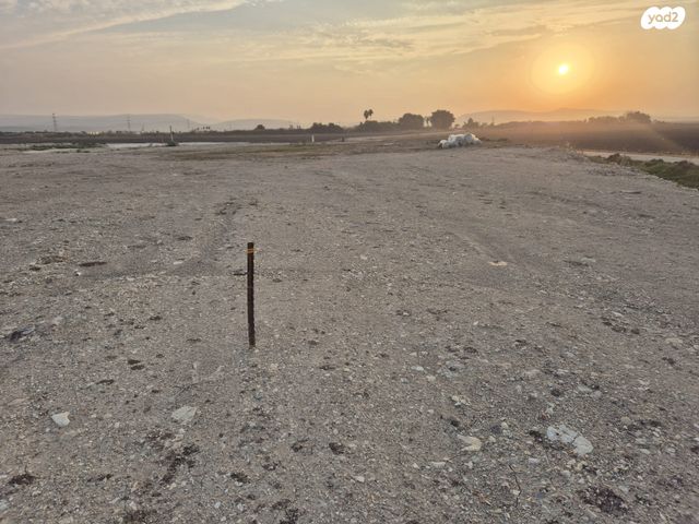 מגרשים, כפר מסריק, כפר מסריק, כפר מסריק