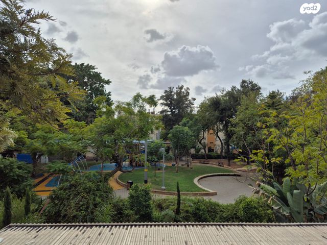 דב ממזריץ' 18