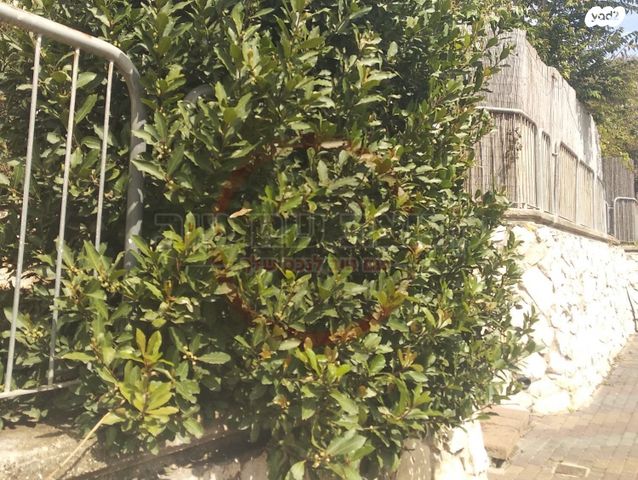 דירה, סביון, נווה יוסף, עפולה