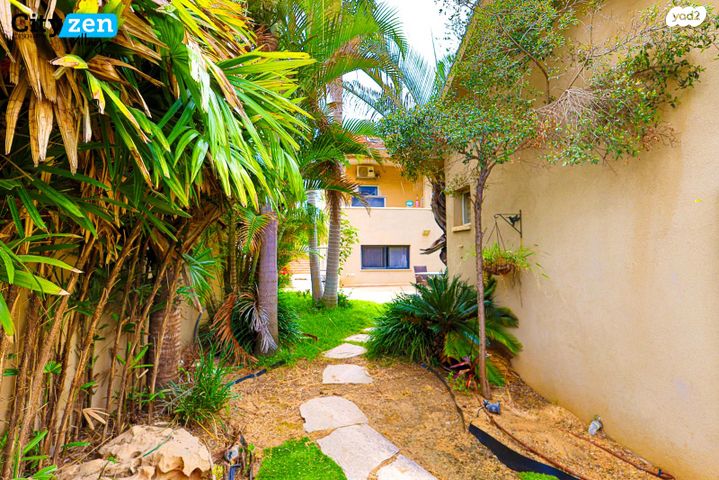 דו משפחתי, קדימה צורן