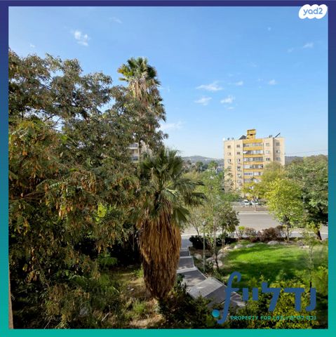 בן אליעזר 11