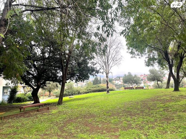 דירת גן, עינב, הגליל, כרמיאל