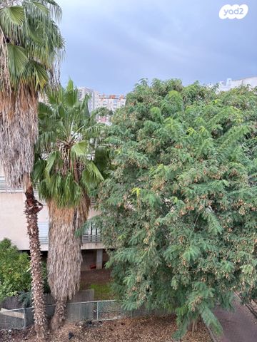 דירה, קרן היסוד, דרום עפולה, עפולה