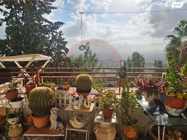 דירה, סביון, נווה יוסף, עפולה