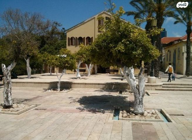 ישיבת וולוז'ין 