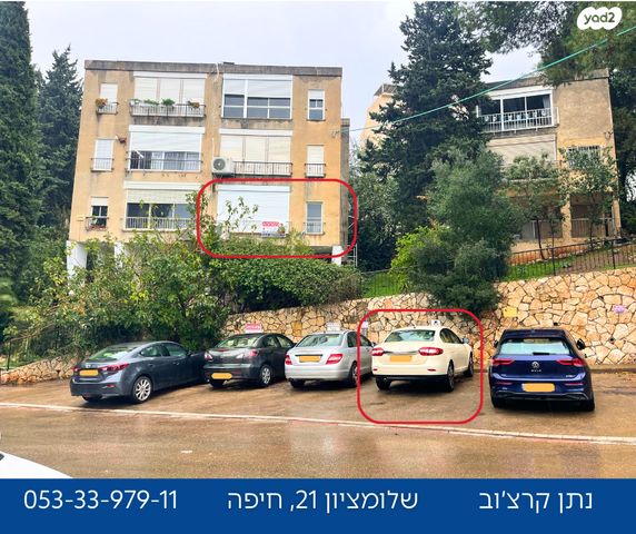 שלומציון המלכה 21