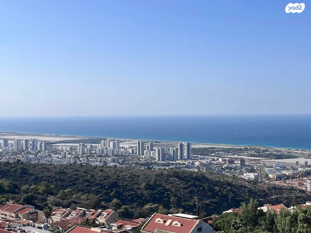 ראול ולנברג 