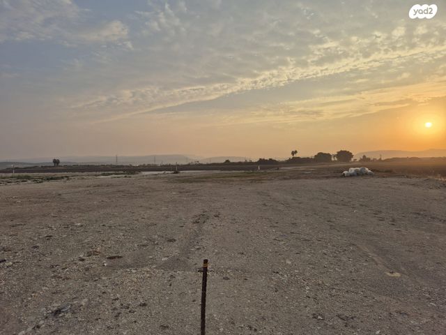 מגרשים, כפר מסריק, כפר מסריק, כפר מסריק