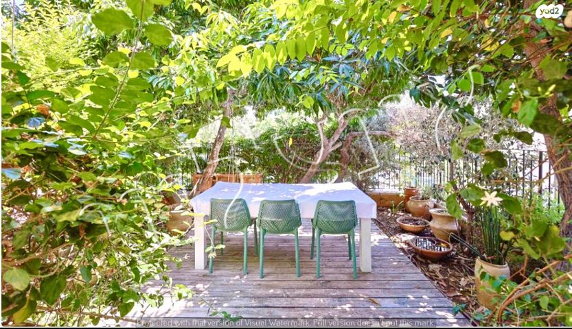 שמואל הנגיד 