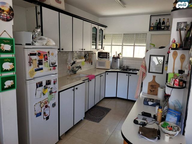 דירה, חנה סנש, המיימוני, חיפה