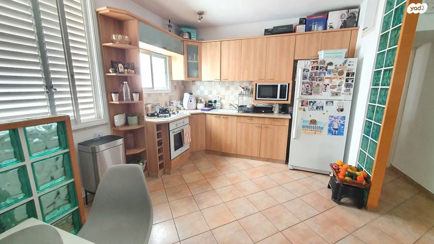 מנדלי מוכר ספרים 