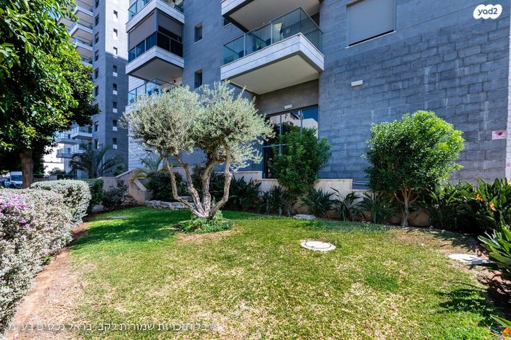 דירה, נווה פרדסים, פרדס חנה כרכור