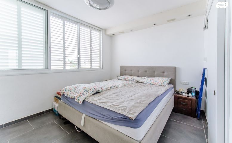 דירה, הרב שקדי, מחנה יהודה, פתח תקווה