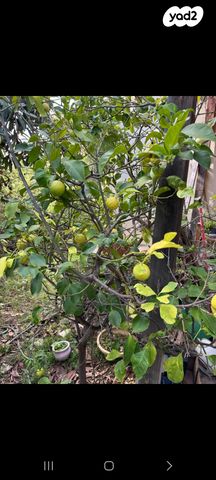 בית פרטי/ קוטג', סמטת החצב 5, עמידר, בנימינה גבעת עדה
