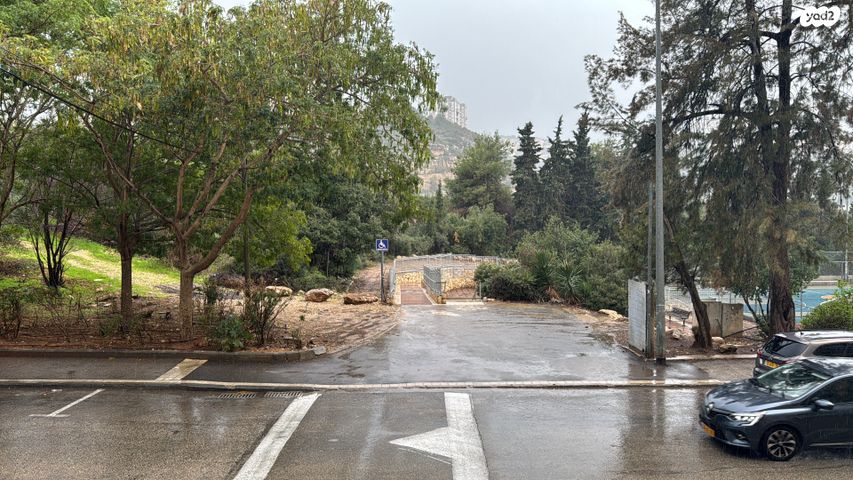 דירה, יזרעאליה, חיפה