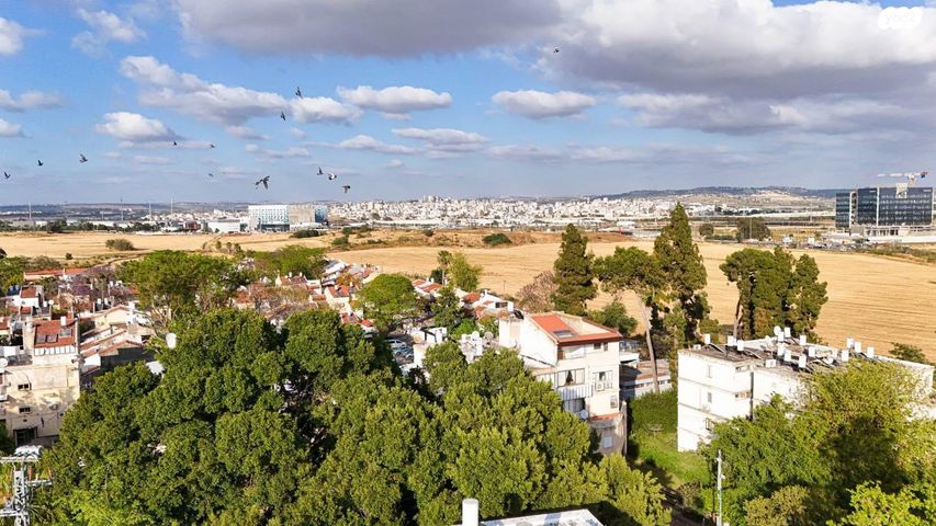 גג/ פנטהאוז, גבעת אשכול, כפר סבא