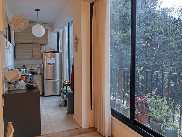 דירה, מלכי ישראל, הצפון הישן - דרום, תל אביב יפו