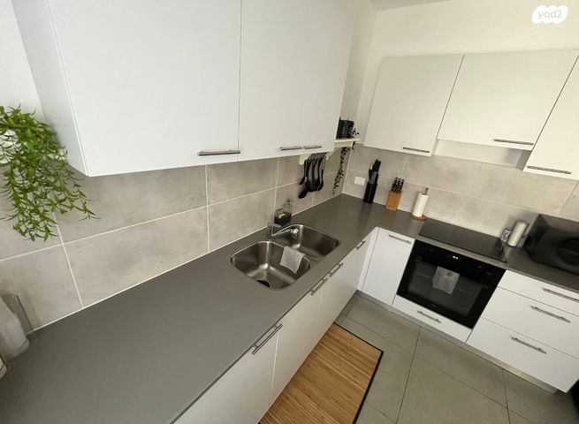 דירה, הבה"דים, נרקיסים, ראשון לציון