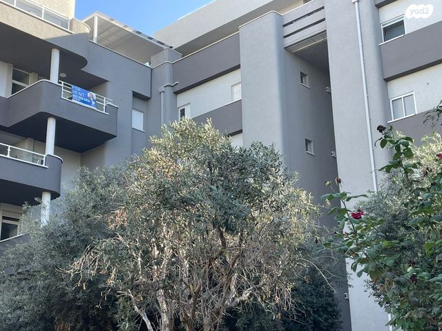 דוד שמעוני 4