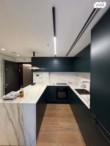 גני שרונה, קרית הממשלה