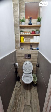 דירה, שברץ, נווה דוד רמז, רעננה