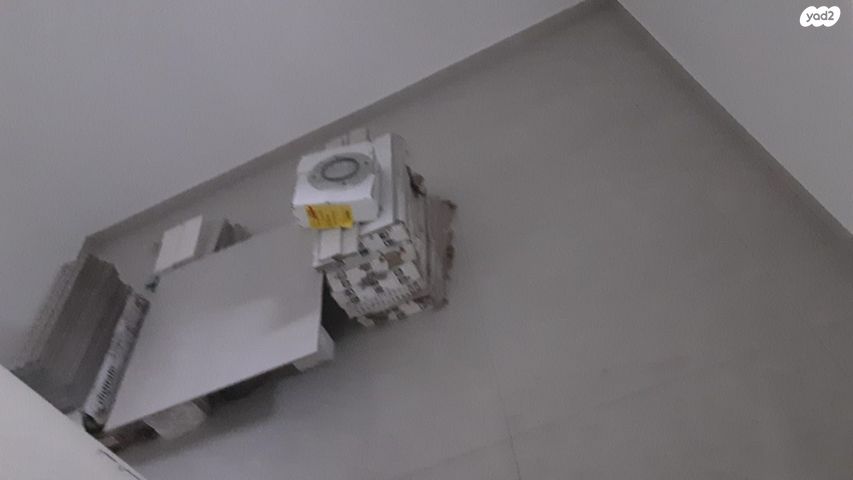 דירה, כלניות, טירת כרמל