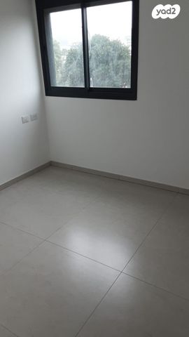 דירה, כלניות, טירת כרמל