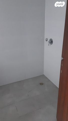 דירה, כלניות, טירת כרמל