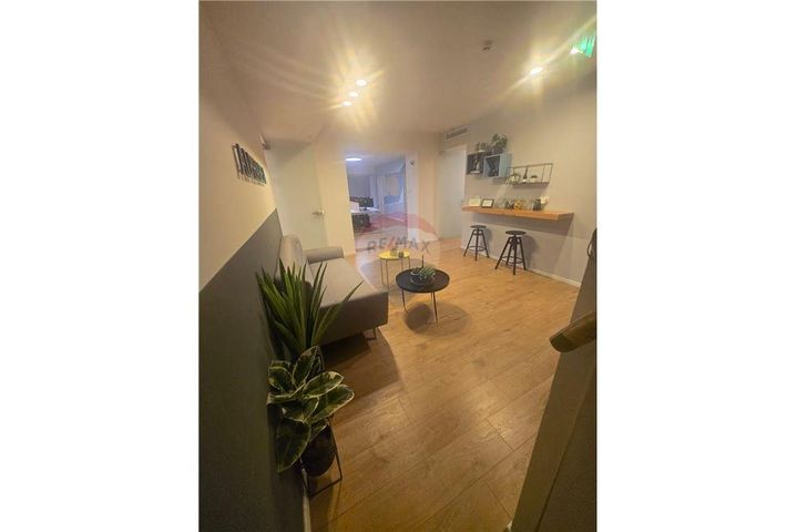 אריה דיסנצ'יק 5