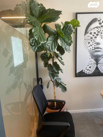 משרדים, בר כוכבא, אזור תעשיה צפון, בני ברק