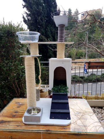 תמונת מודעה - חיות מחמד