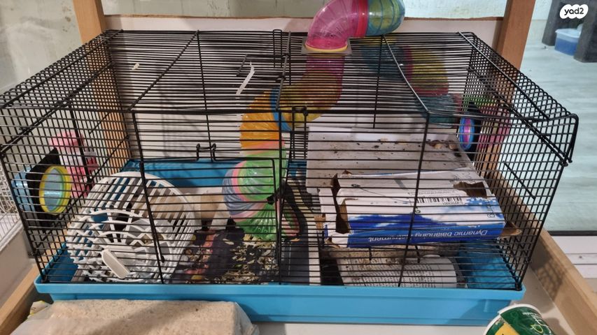 תמונת מודעה - חיות מחמד