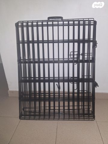 אביזרים | ציוד לאילוף