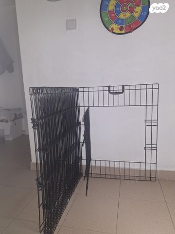 אביזרים | ציוד לאילוף